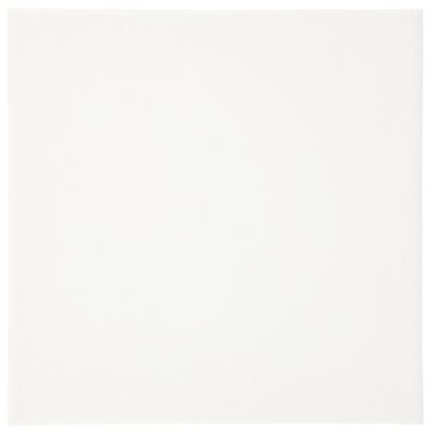 canvasdoeken 280gsm 20x20 - 3 stuks - 60720067 - HEMA