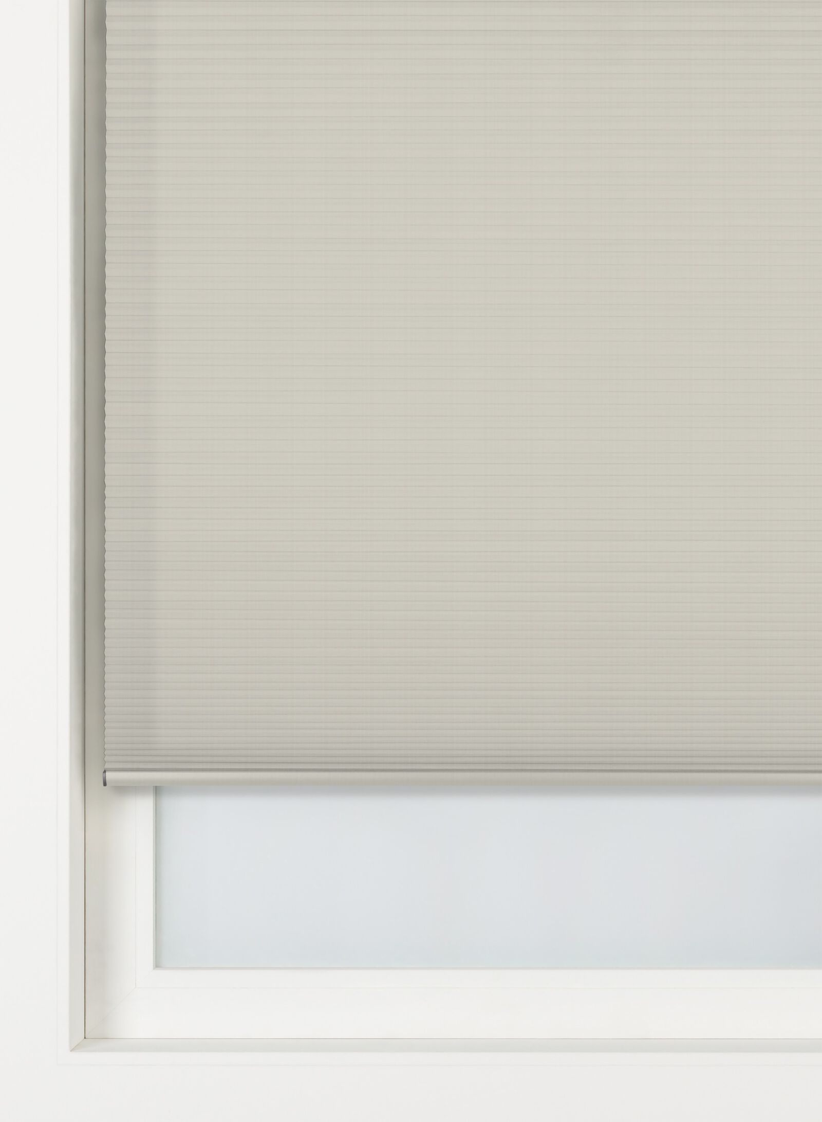 plisse dubbel lichtdoorlatend witte achterzijde lichtgrijs (lichtgrijs)