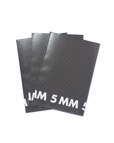 3 cahiers format A4 - à carreaux 5 mm - 14101620 - HEMA
