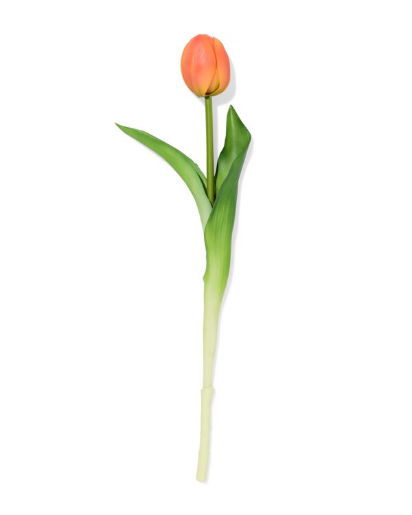 Kunstblume, 34cm, Tulpe, Pfirsich - 41324074 - HEMA