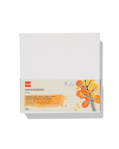 canvasdoeken 280gsm 20x20 - 3 stuks - 60720067 - HEMA