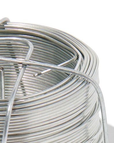 ijzerdraad 50 meter - 81040086 - HEMA