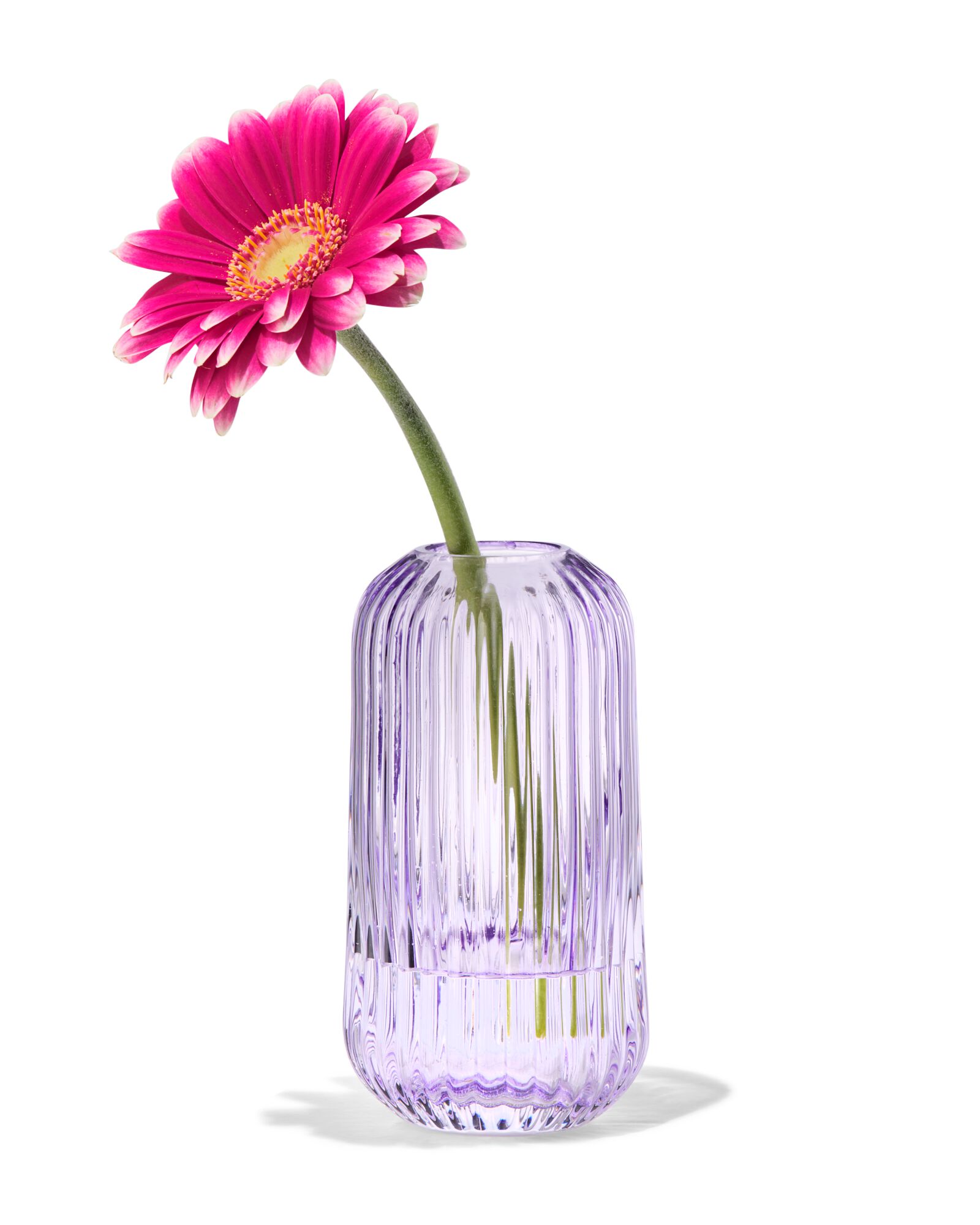 hema vase verre 2.5x11 lilas (lilas)