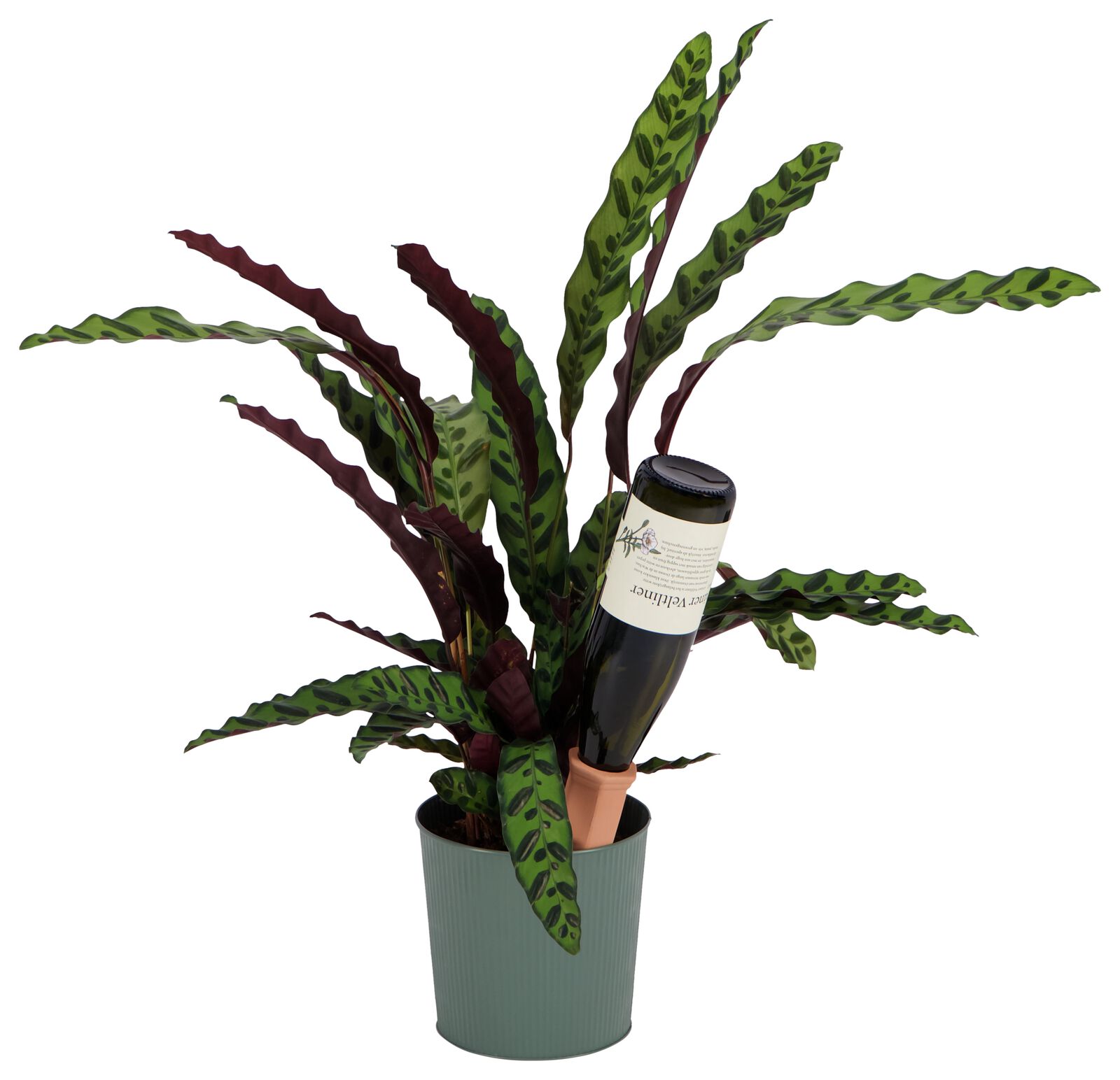 waterdruppelaar terra cotta 18cm 2 stuks - 41830339 - HEMA