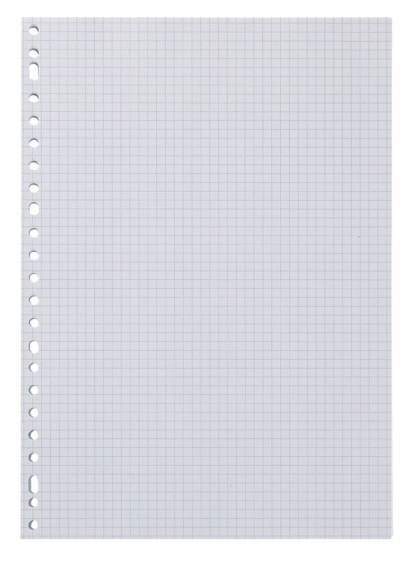 100-pak ringbandpapier geruit 5 x 5 mm - 14122303 - HEMA