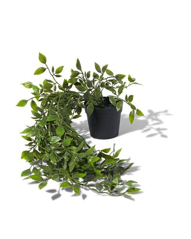 plante artificielle herbe aux écus - 41323010 - HEMA