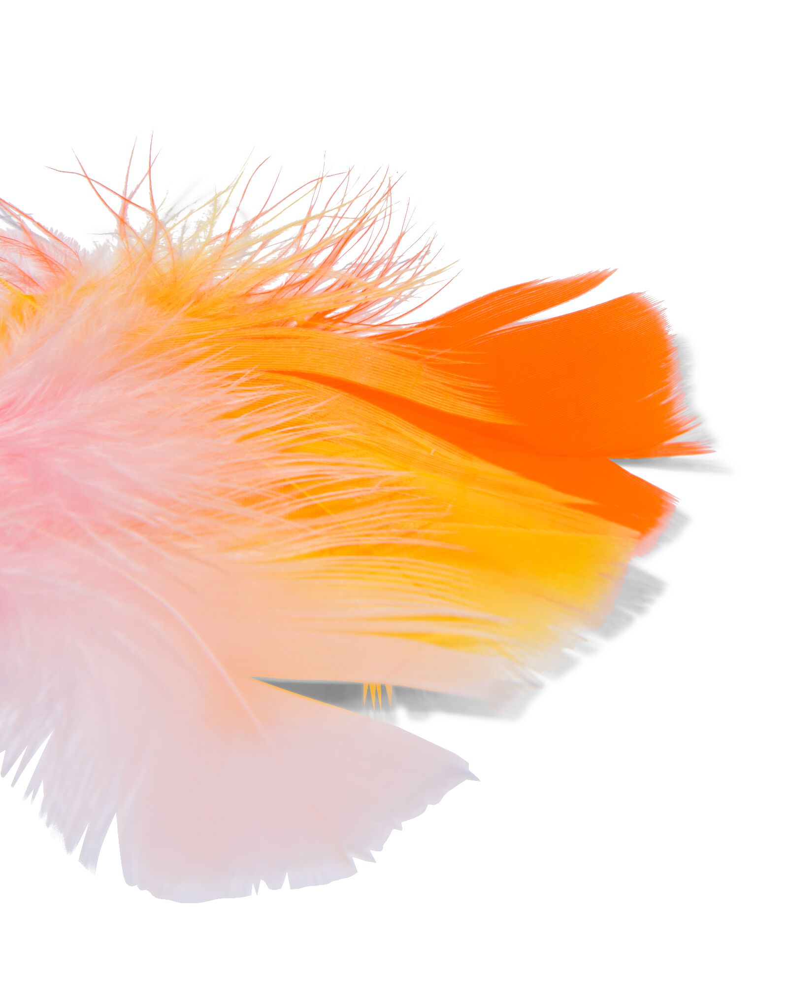 100 plumes - 15920071 - HEMA