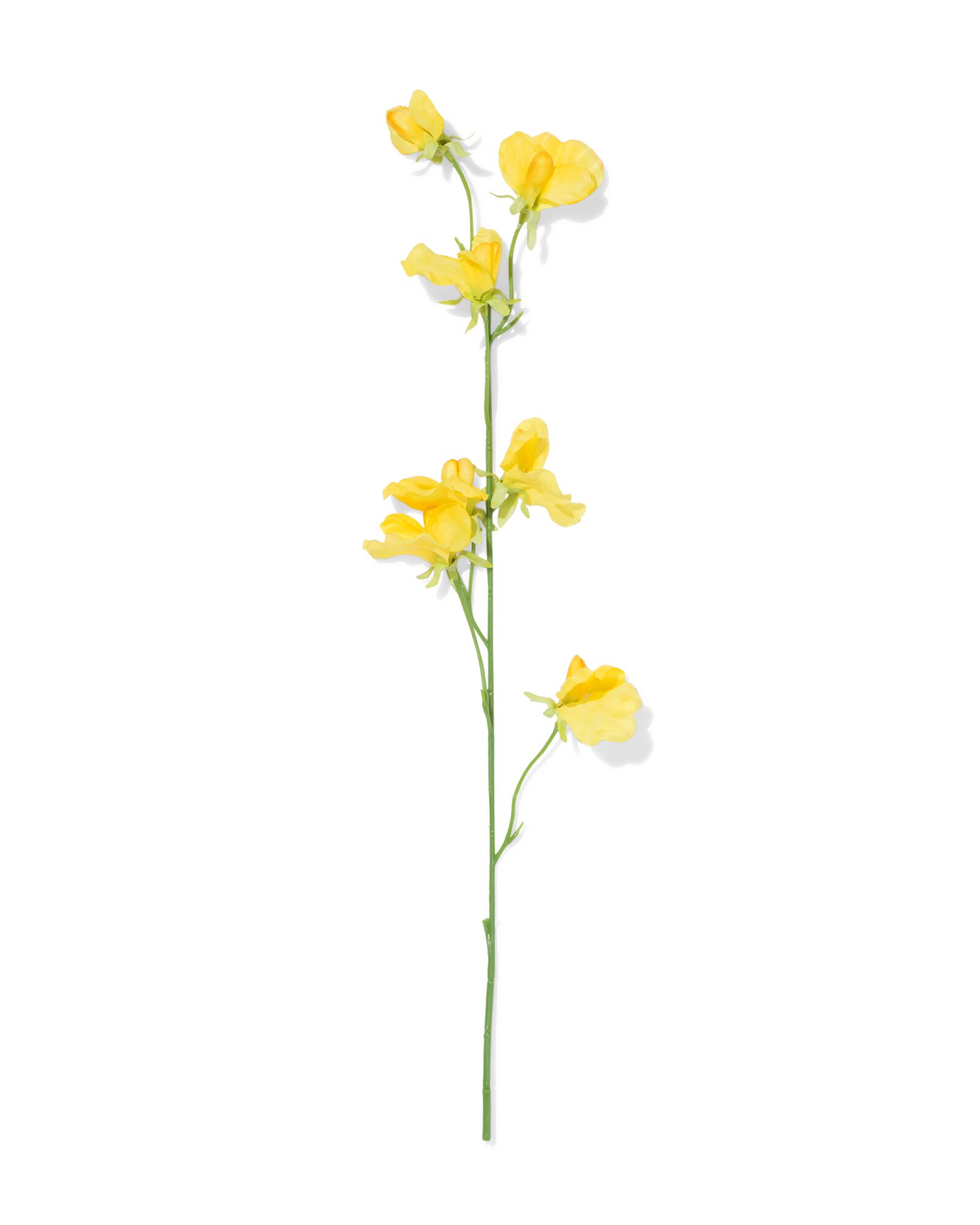 fleur artificielle lathyrus jaune - 41324061 - HEMA