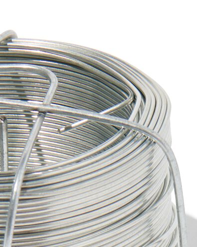 ijzerdraad 50 meter - 81040086 - HEMA