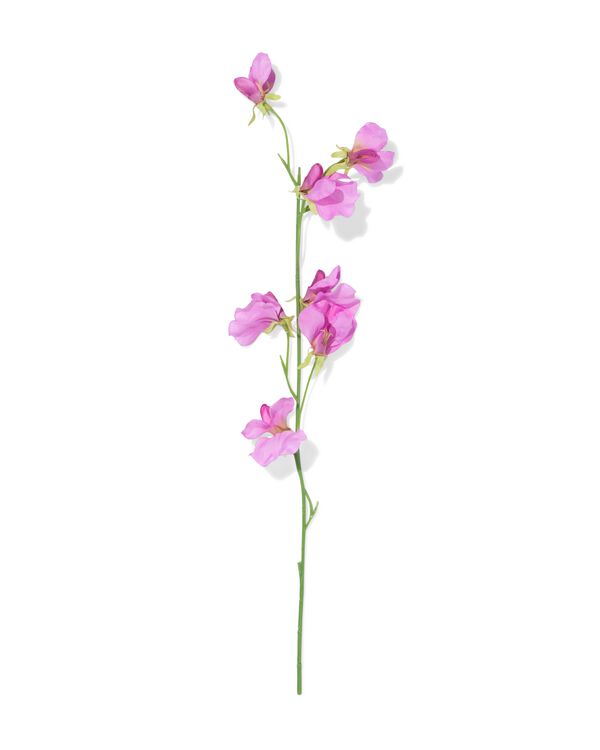 kunstbloem lathyrus paars - 41324064 - HEMA