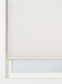 plissé dubbel lichtdoorlatend / gekleurde achterzijde 25 mm beige beige - 1000016430 - HEMA