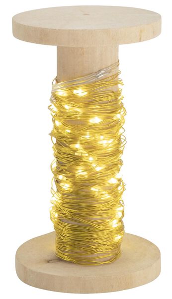 lichtsnoer goud 100 LED lampjes 10m - 25530328 - HEMA