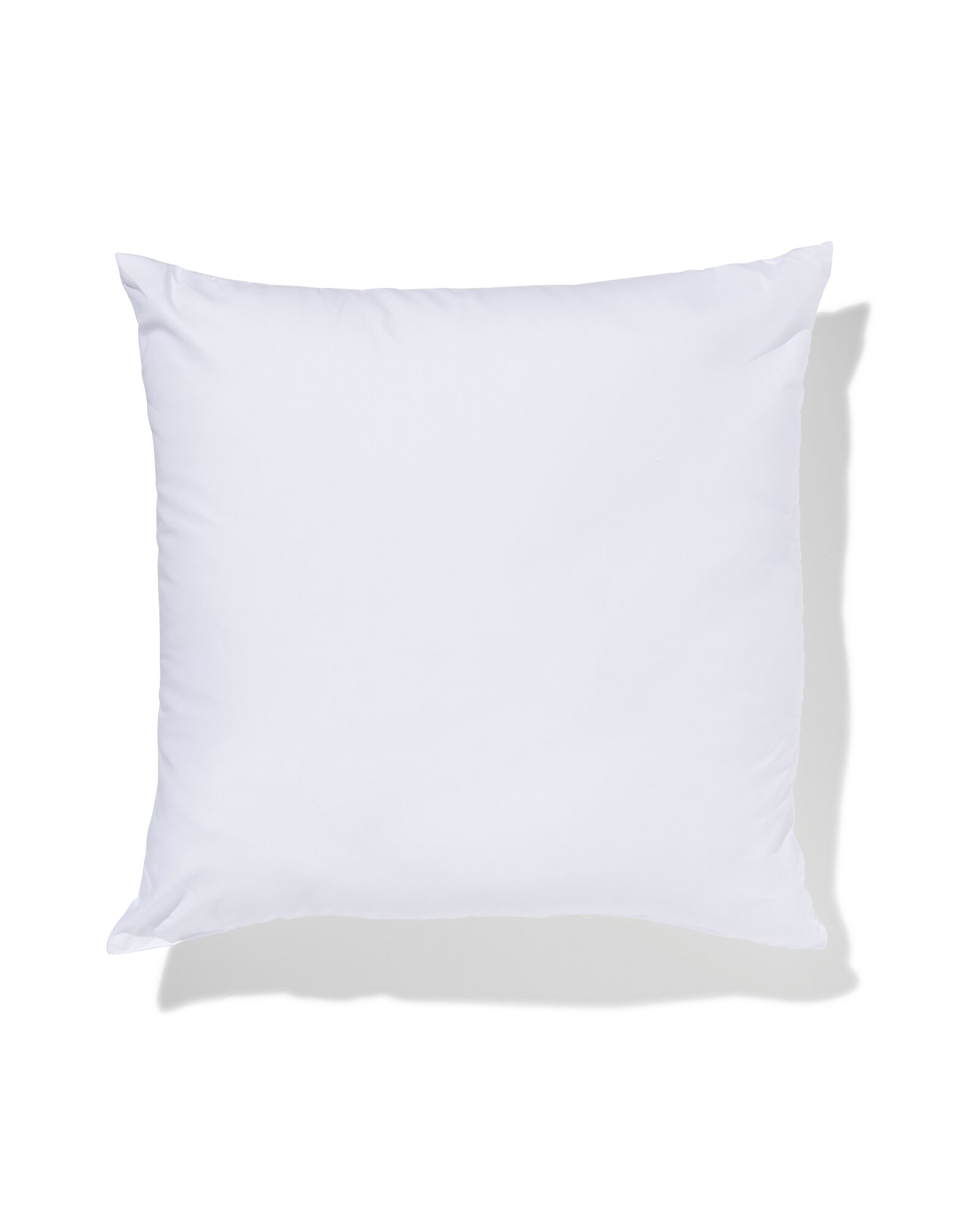 coussin 430 grammes 50x50 - 7311099 - HEMA