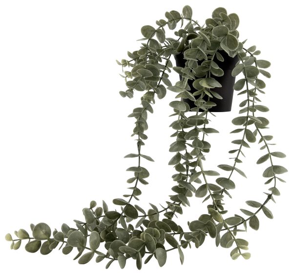 plante artificielle eucalyptus - 41322043 - HEMA