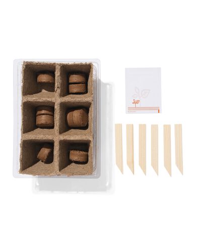 Anzuchtset K&uuml;rbis  - 41800628 - HEMA