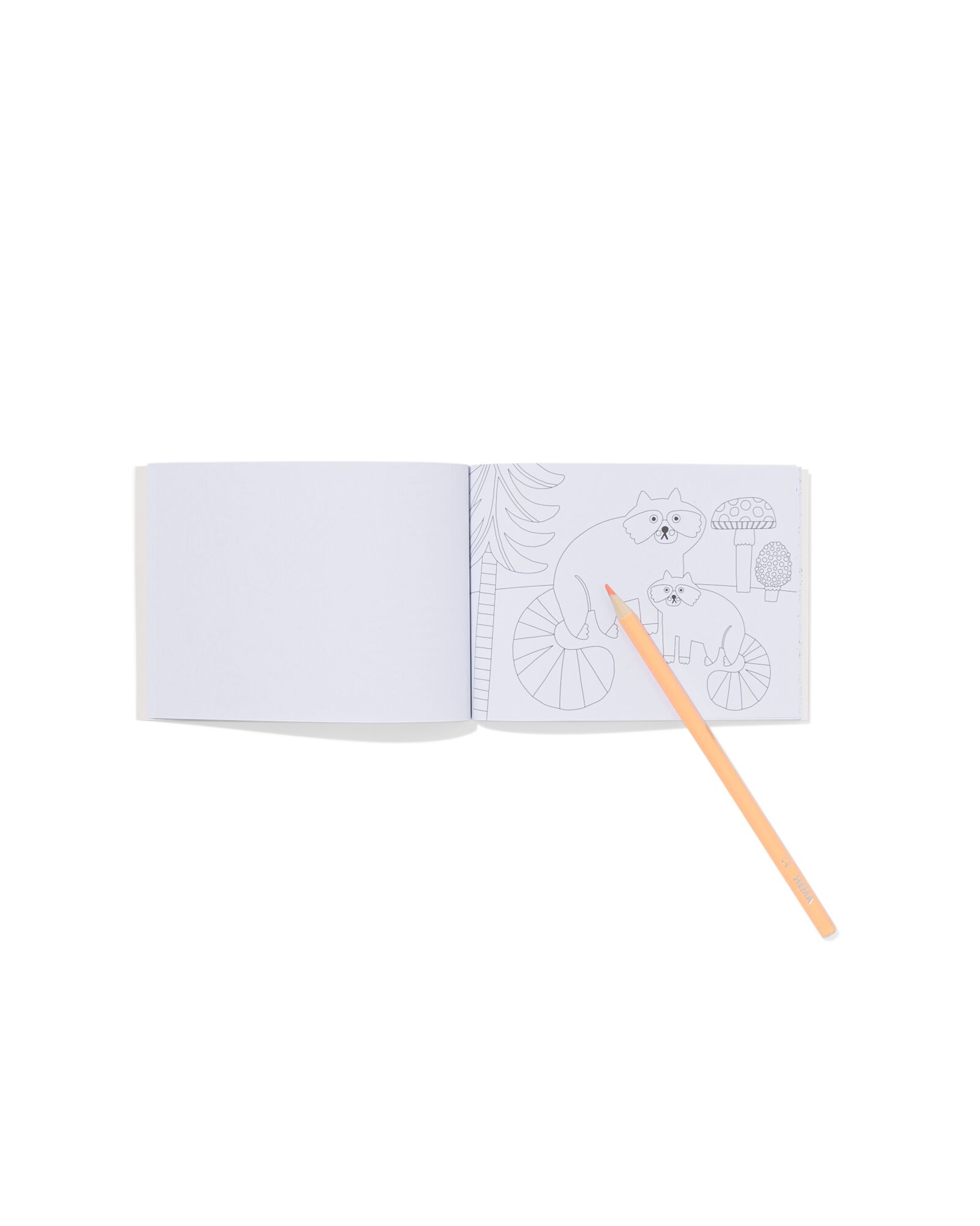 Malbuch DIN A6, Waldtiere - 15900106 - HEMA