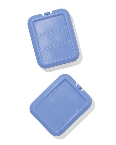 &eacute;l&eacute;ments de r&eacute;frig&eacute;ration - 2 pi&egrave;ces - 80650250 - HEMA