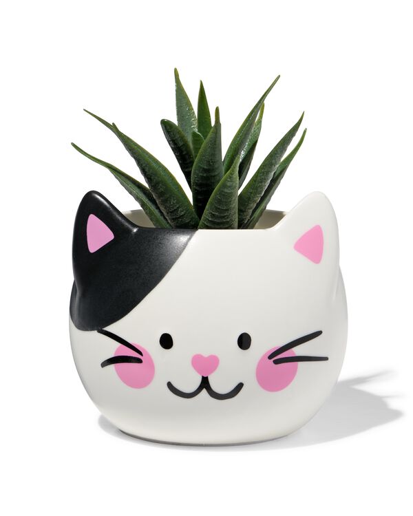 pot de fleurs 9,3 x 9,3 x 8,3 cm c&eacute;ramique chat - 61100058 - HEMA