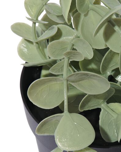 plante artificielle eucalyptus - 41323009 - HEMA