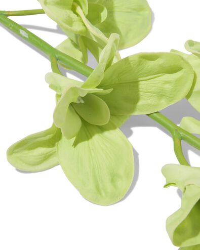 kunstbloem dendrobium 55cm rubber groen - 41300116 - HEMA