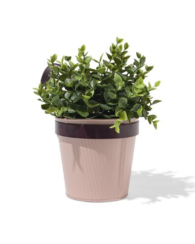 jardini&egrave;re balcon 22x13x21cm avec crochet rose - 41800082 - HEMA
