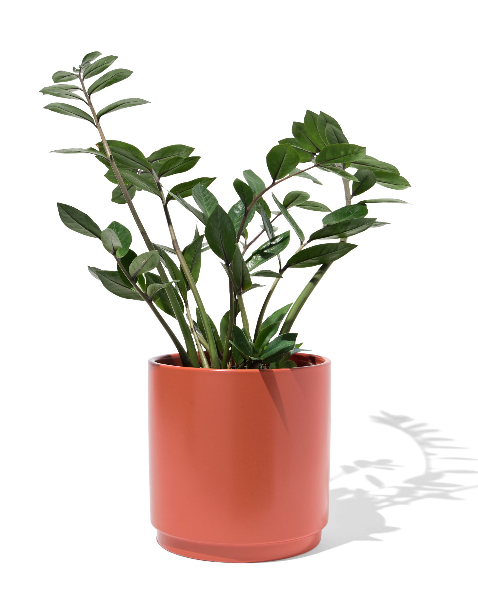 Blumentopf ⌀ 19 x 19 cm orange - 41800084 - HEMA