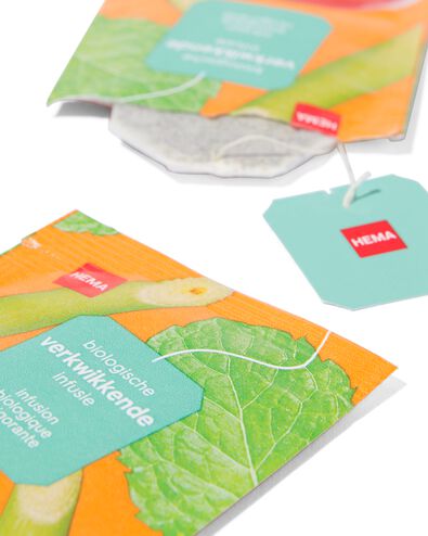 infusion biologique d'&eacute;glantier, de menthe et de citronnelle - lot de 20 - 17190308 - HEMA