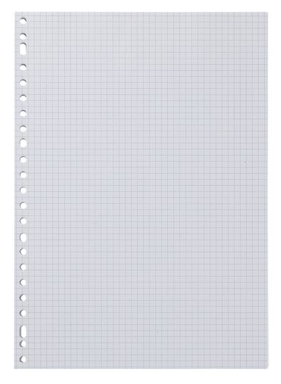 100 feuilles perfor&eacute;es &agrave; carreaux 5 x 5 mm - 14122303 - HEMA