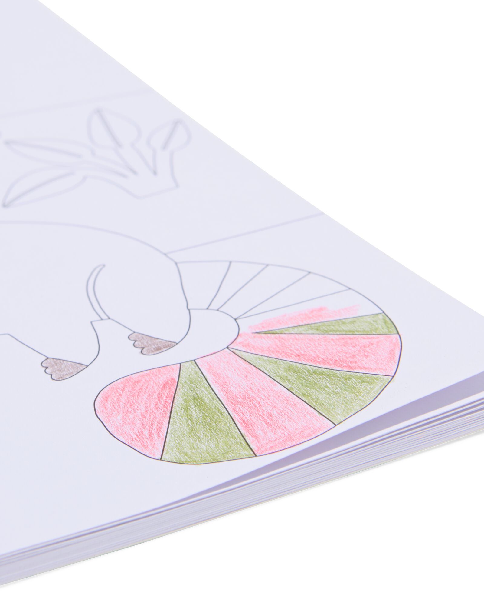 livre de coloriage A4 animaux de la for&ecirc;t - 15900289 - HEMA