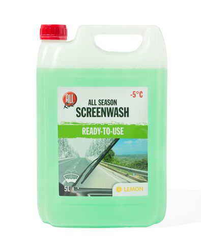 lave-glace antigel 5L - 41760022 - HEMA