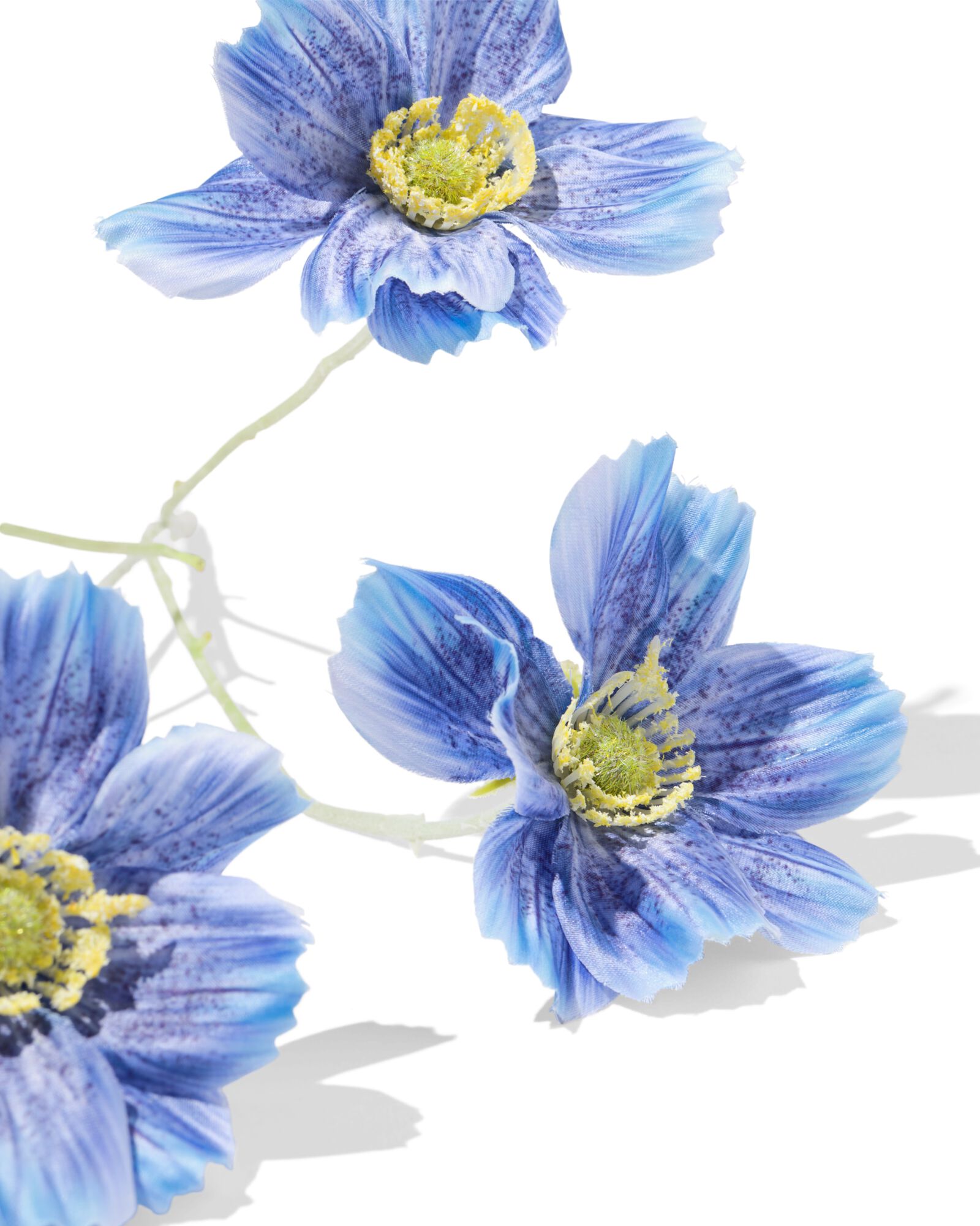 Kunstblume Anemone - 41300101 - HEMA