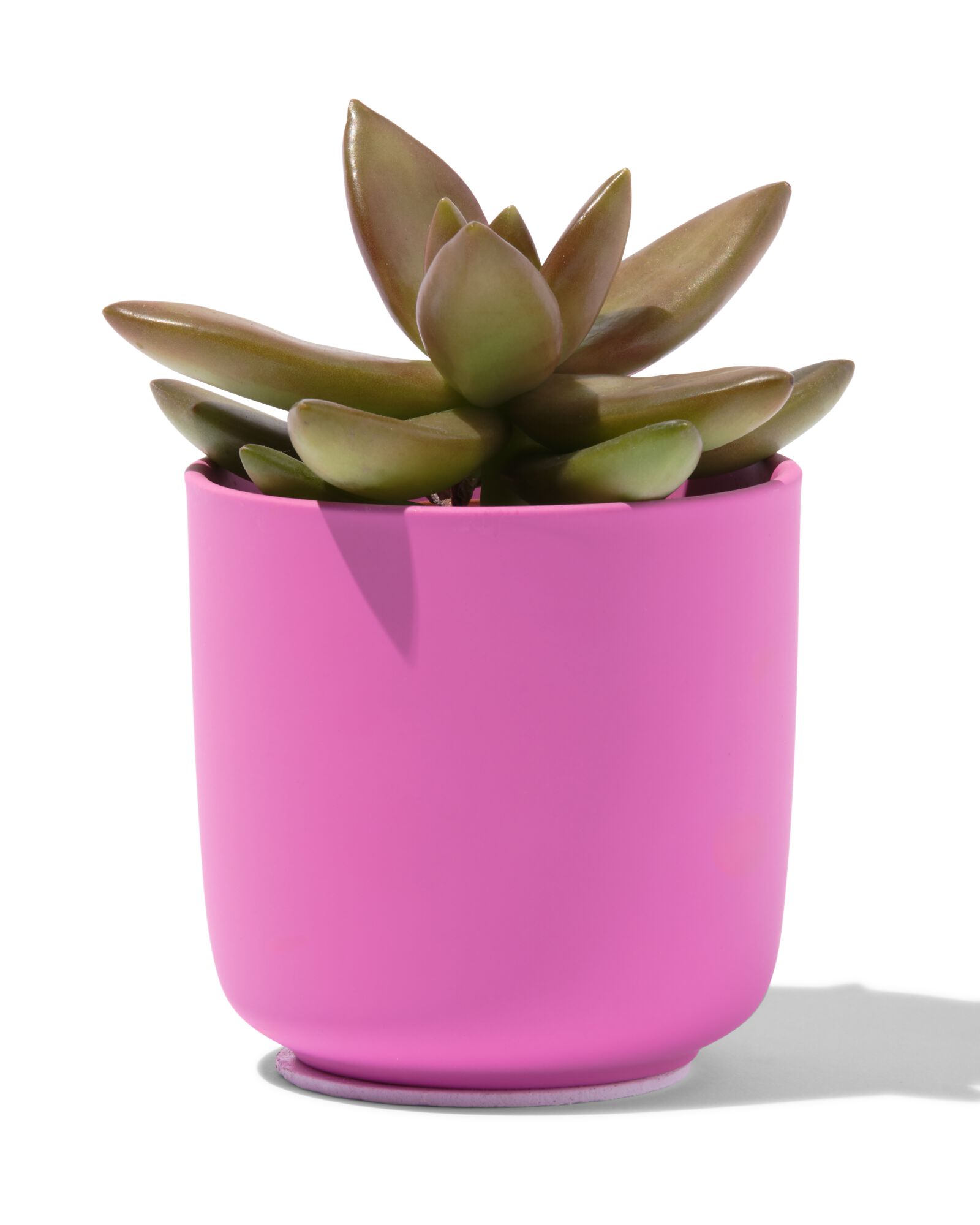 cache-pot Ø6x6.5 faïence rose - HEMA