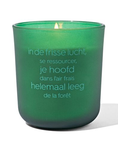 bougie parfum&eacute;e promenade en for&ecirc;t - 11380030 - HEMA