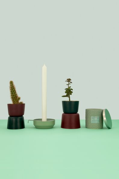 12er-Pack lange Haushaltskerzen, &Oslash; 2.2 x 29 cm, wei&szlig; wei&szlig; 2,2 x 29 - 13503050 - HEMA