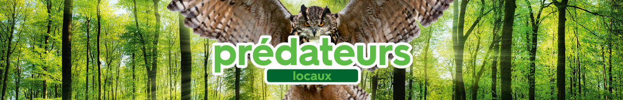 prédateurs locaux