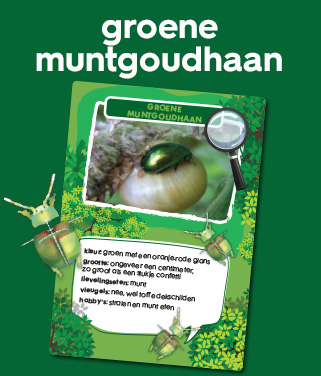 muntgoudhaan