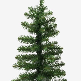kerstbomen